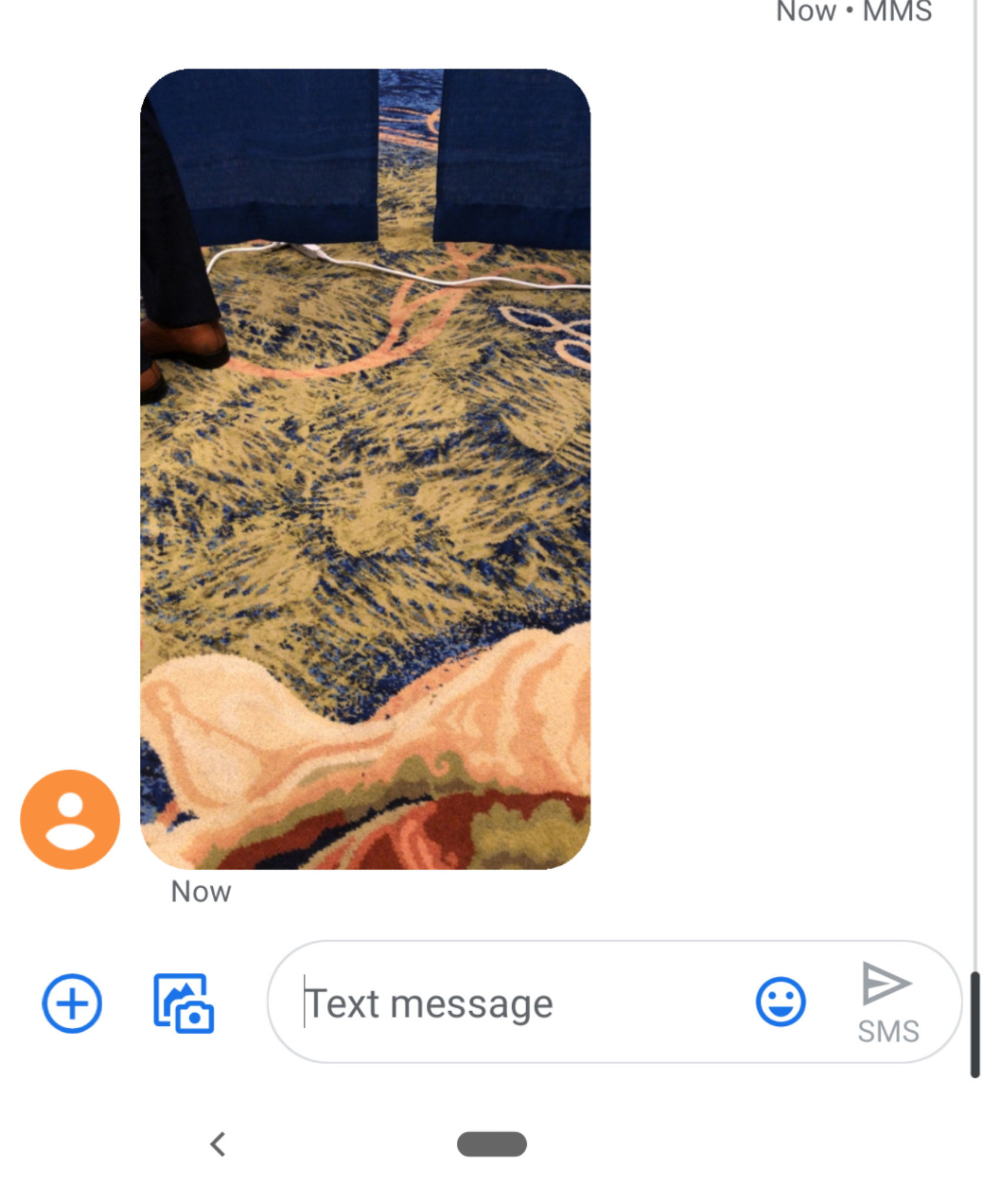 text.png
